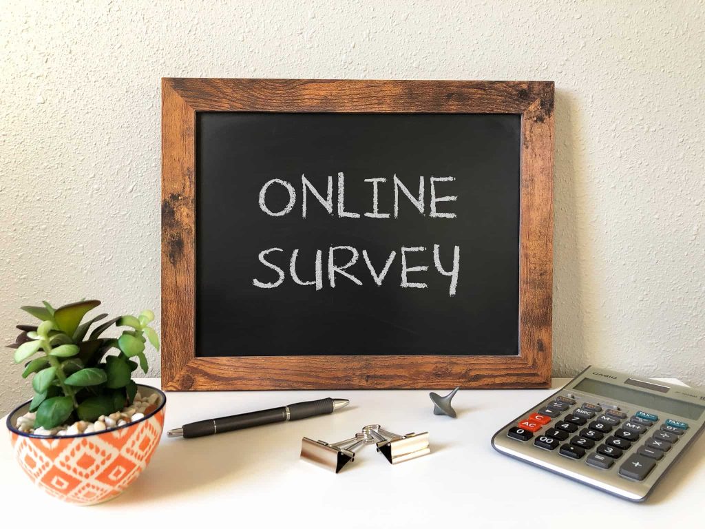 Can You Really Make Money With Online Surveys?