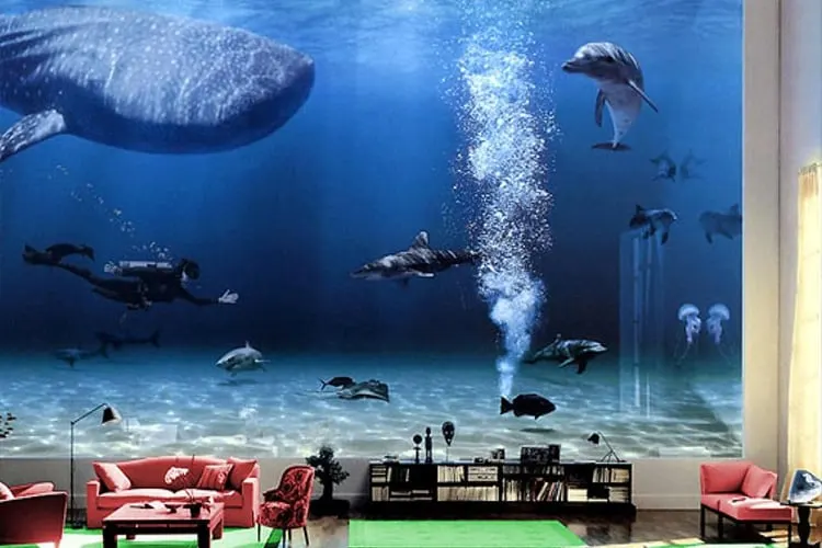 The Digital Aquarium