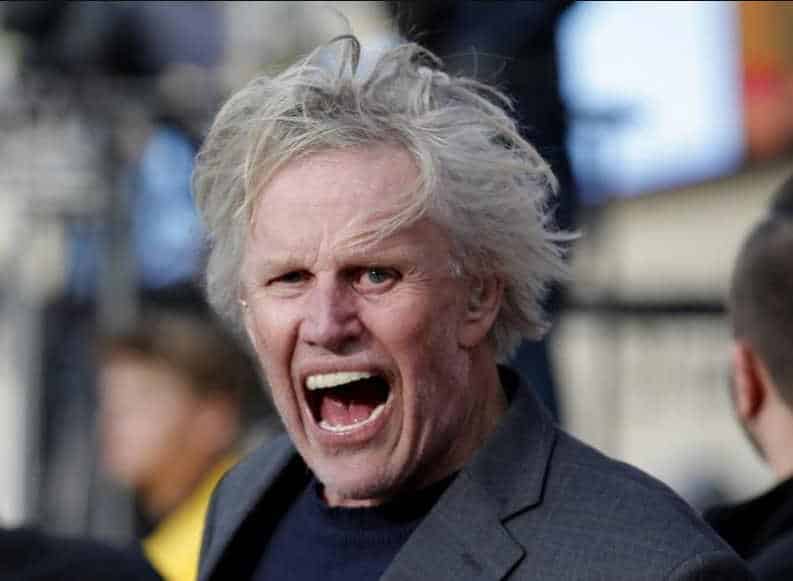 gary busey