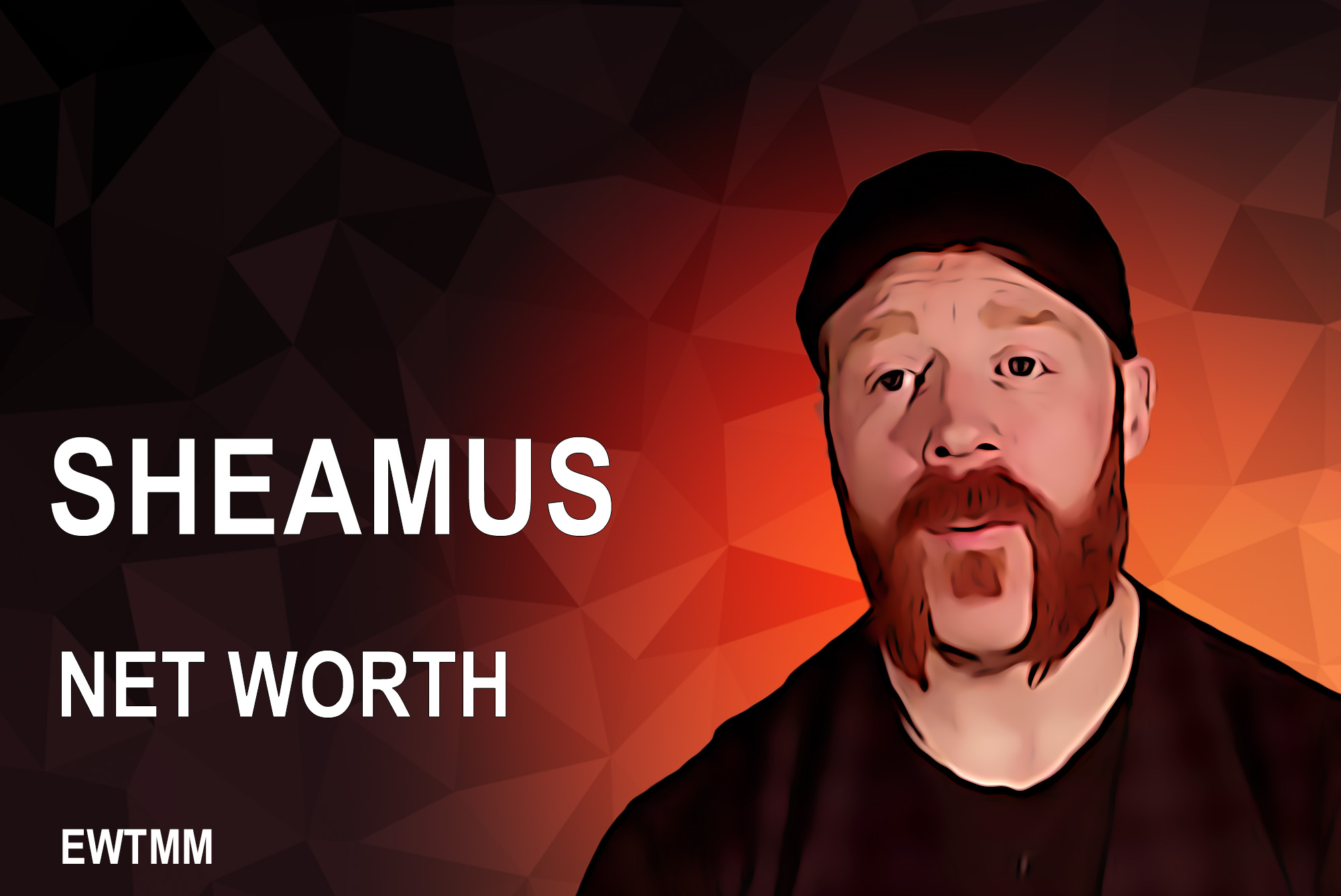 Sheamus Net Worth
