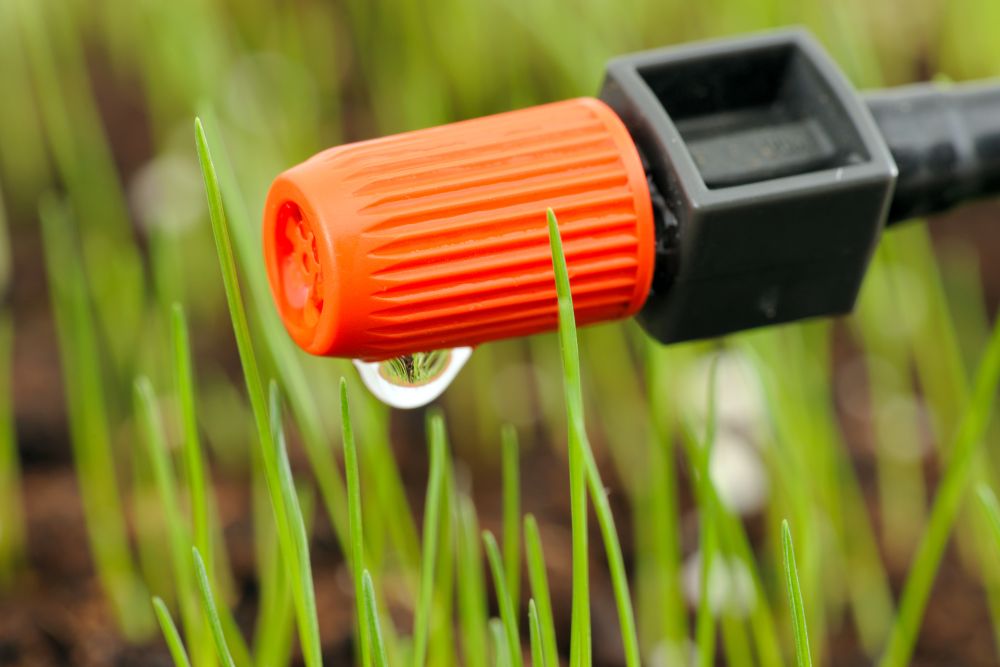 Image via Canvas - irrigation drop system
