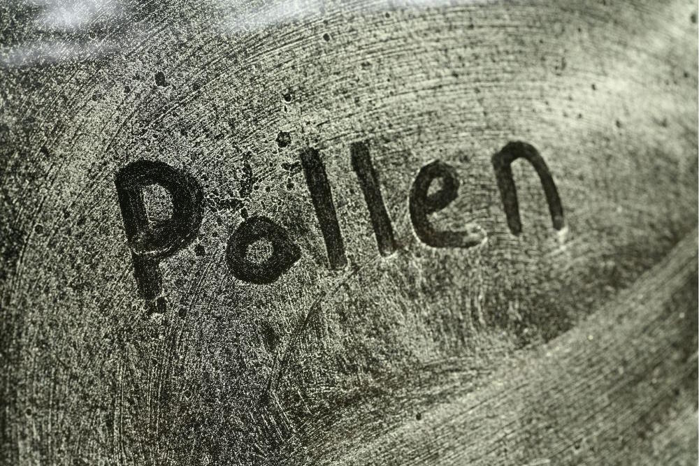 Image via Canva - pollen carved in wood